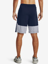 Under Armour Raid 2.0 Shorts