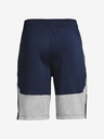 Under Armour Raid 2.0 Shorts