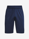 Under Armour Raid 2.0 Shorts