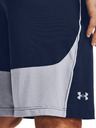 Under Armour Raid 2.0 Shorts