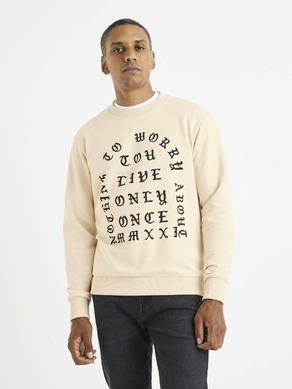 Celio Sweatshirt