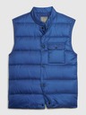 GAP Vest