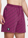 Under Armour Pánské šortky Under Armour Pjt Rck Icon Flc Short Pt BOH