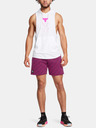 Under Armour Pánské šortky Under Armour Pjt Rck Icon Flc Short Pt BOH