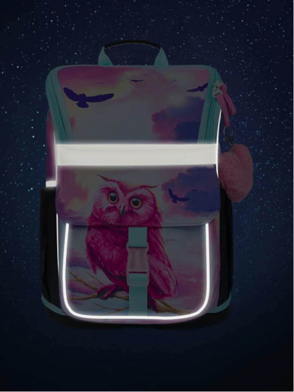 BAAGL  Ροζ σχολική τσάντα Zippy Baagl Owl