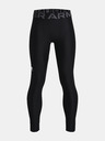 Under Armour Παιδικό κολάν Under Armour HG Armour Leggings