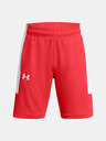 Under Armour Σορτς αγοριού Under Armour UA Baseline Short