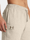 Under Armour Ανδρικά Under Armour UA Icon Fleece Short