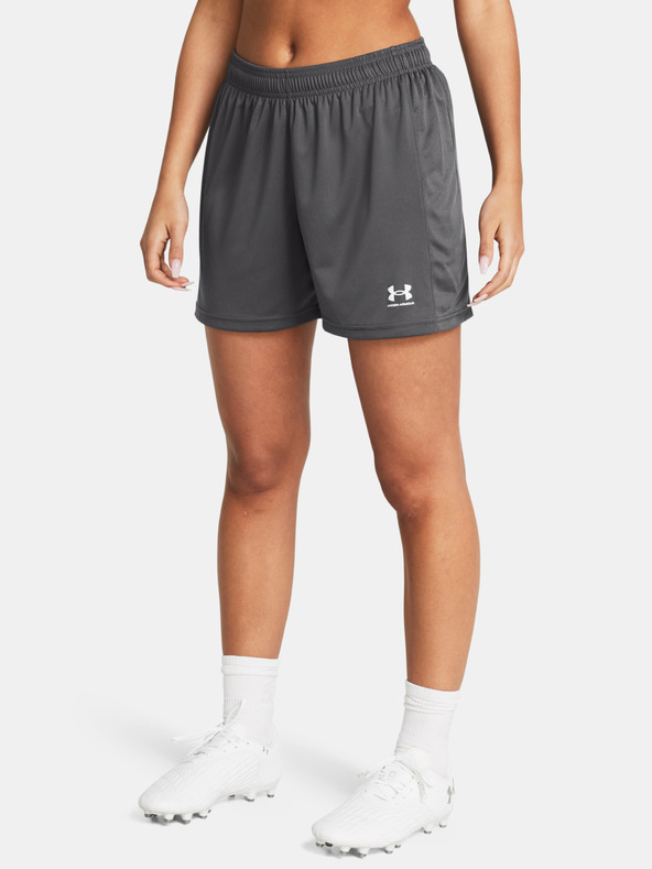 Under Armour Γυναικεία Under Armour UA W's Ch. Knit Short-GRY