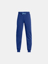 Under Armour Under Armour Boys' Pjt Rck Rival Pant Tools