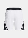 Under Armour Under Armour Ανδρικά Curry Mesh Short 4