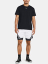 Under Armour Under Armour Ανδρικά Curry Mesh Short 4