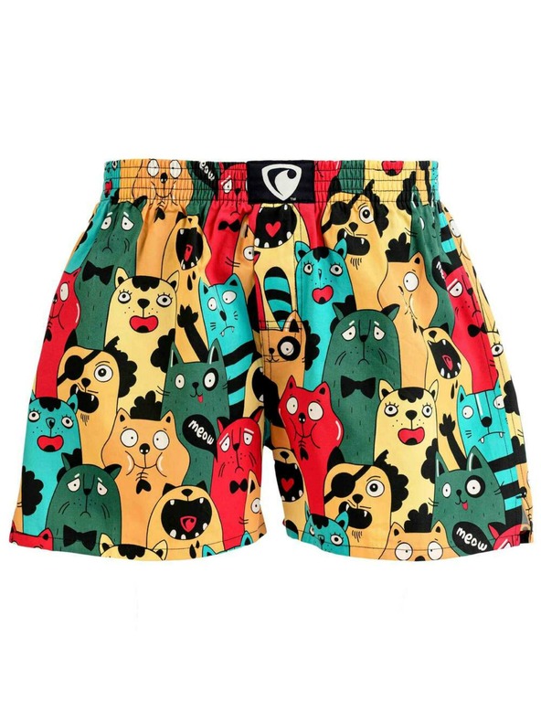 Represent Ανδρικά σορτς EXCLUSIVE ALI CAT FANS Αντιπροσωπεύουν