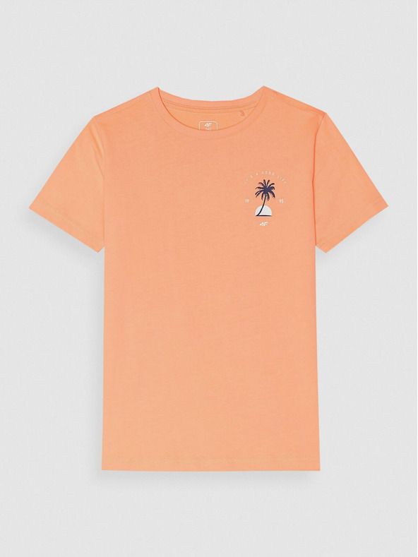 4F T-shirt για αγόρια με εκτύπωση 4F