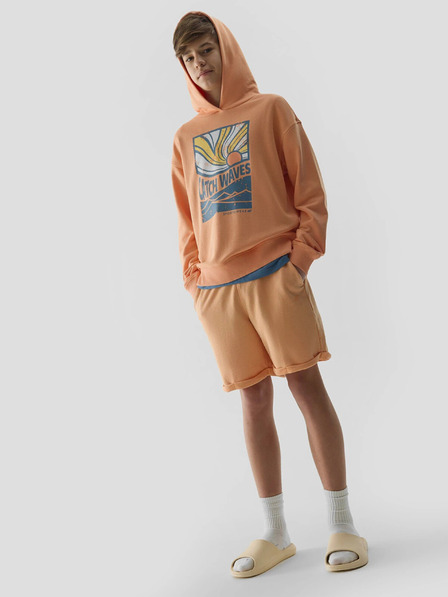 4F Boys Hoodie 4F