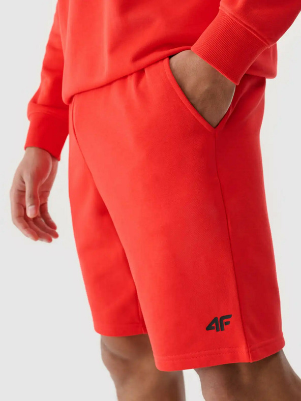 4F Ανδρικό σορτς 4F