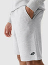 4F Ανδρικό σορτς 4F
