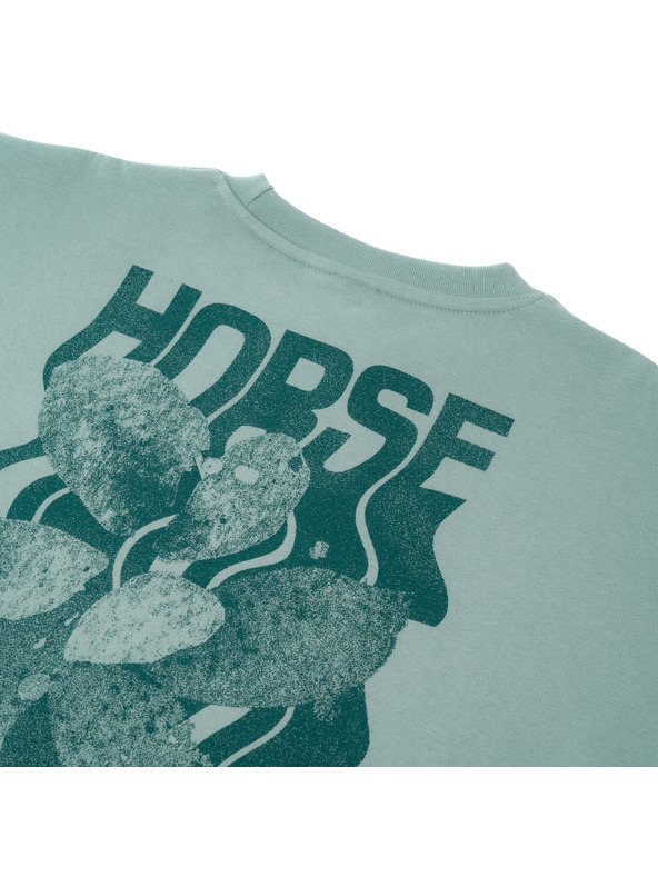 Horsefeathers Qiana sweatshirt mint HORSEFEATHERS