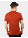 Kilpi Kilpi LISMAIN-M ανδρικό λειτουργικό t-shirt Καφέ