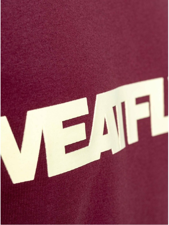 Meatfly Meatfly ανδρικό μπλουζάκι Logex Dark Wine | Κόκκινο | Μέγεθος S | 100% βαμβάκι