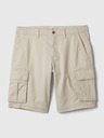 GAP Cargo Shorts GapFlex GAP