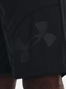 Under Armour Ανδρικό σορτς Under Armour UA PERIMETER 11'' SHORT